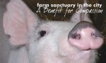 Farm Sanctuary Benefit in NYC 1 farm sanctuary benefit