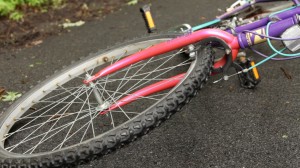 quiet-de-luxe-bike quiet de luxe bicycle