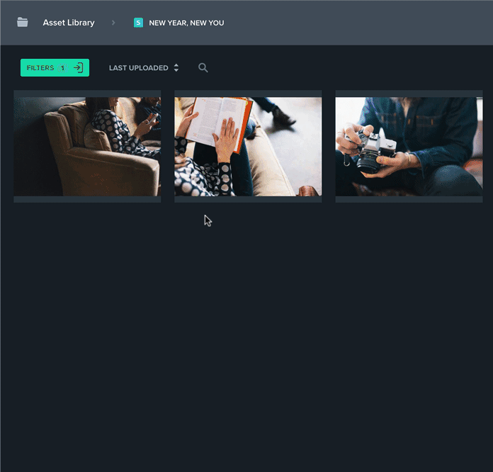 Opal gif asset availability