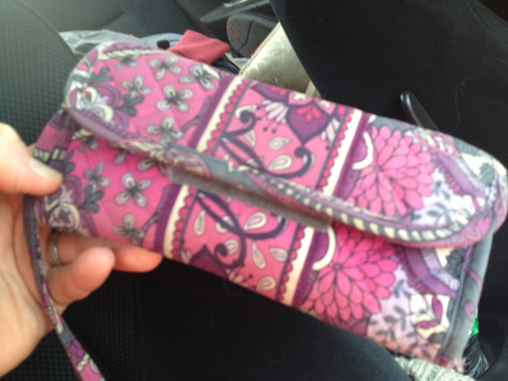Lost Purse on the Road